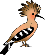 decoration-image
